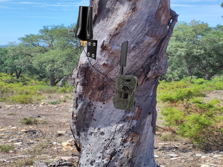 Antena para câmera longo alcance 