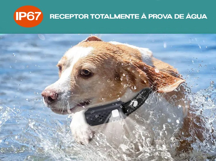 Conjunto de adestramento à distância para 2 cães com alcance de 1300 metros 