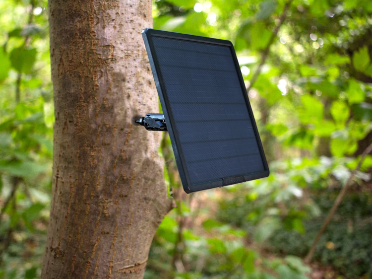 Suporte para câmera 360º para árvore 