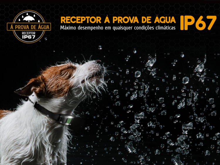 Coleira de adestramento à distância X9 para 2 cães