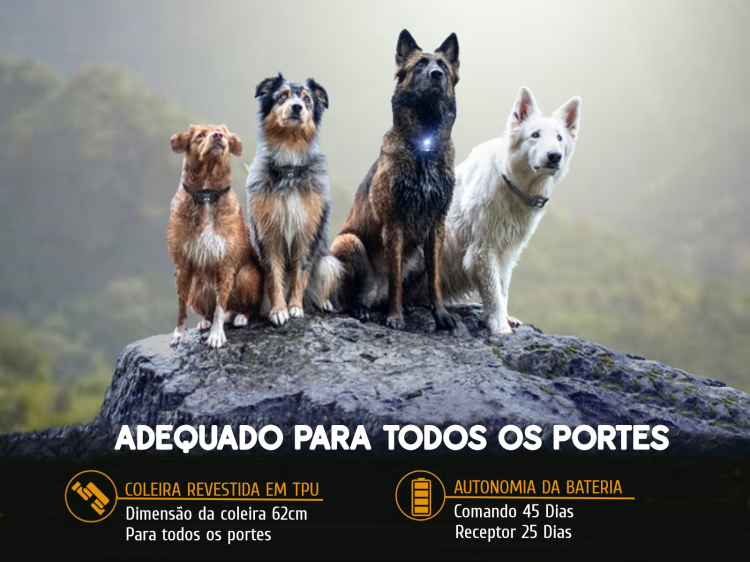 Coleira de adestramento à distância X7 para 1 cão 