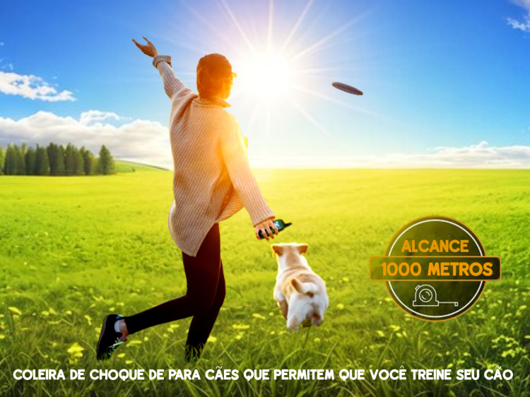 Coleira de adestramento à distância X7 para 1 cão 