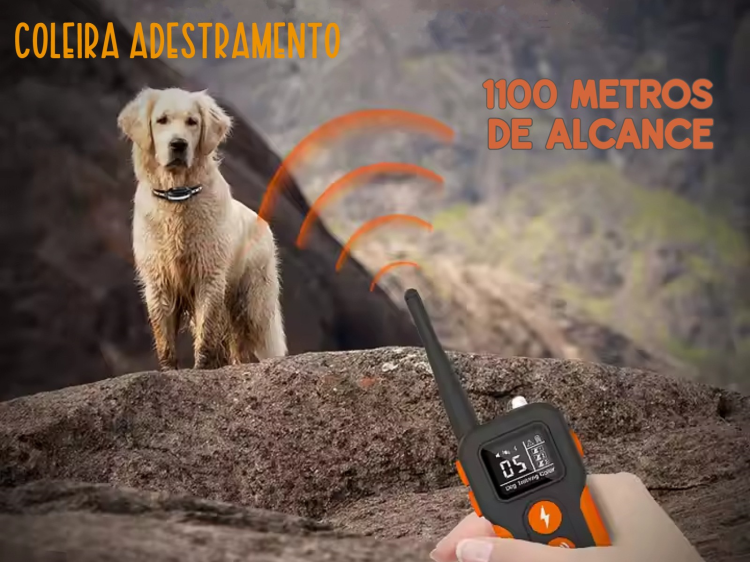 Coleira de adestramento à distância Pro para 3 cães 