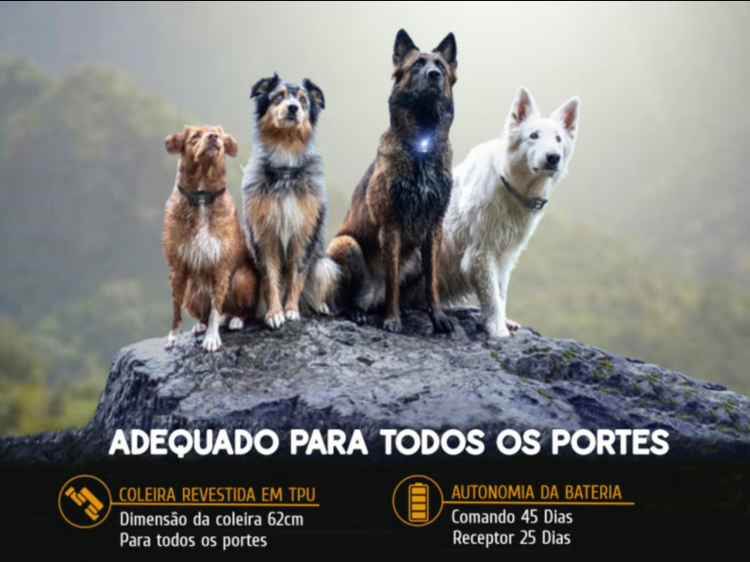 Coleira de adestramento à distância Pro para 3 cães 