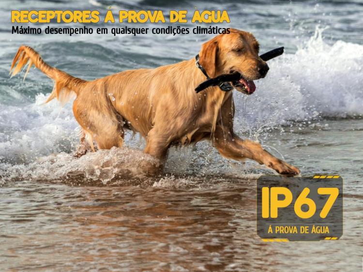 Coleira de adestramento à distância Pro para 3 cães 