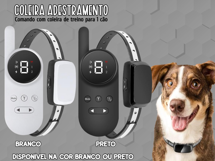 Coleira de adestramento à distância para 1 cão 