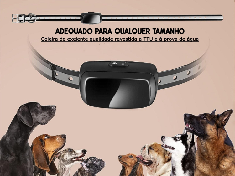 Coleira de adestramento à distância para 1 cão 