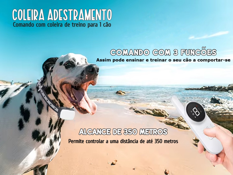 Coleira de adestramento à distância para 1 cão