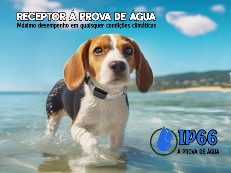 Coleira de adestramento à distância para 1 cão 