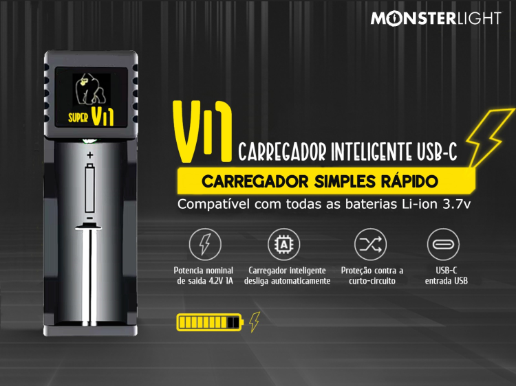 Carregador baterias VI1 simples inteligente